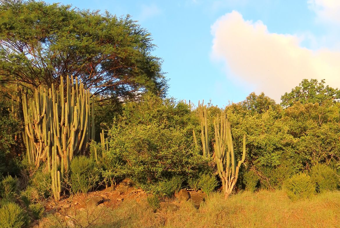 Sunset View Development Opportunity in Guana Bay
