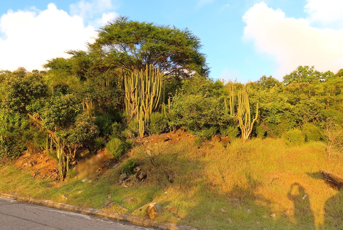 Sunset View Development Opportunity in Guana Bay