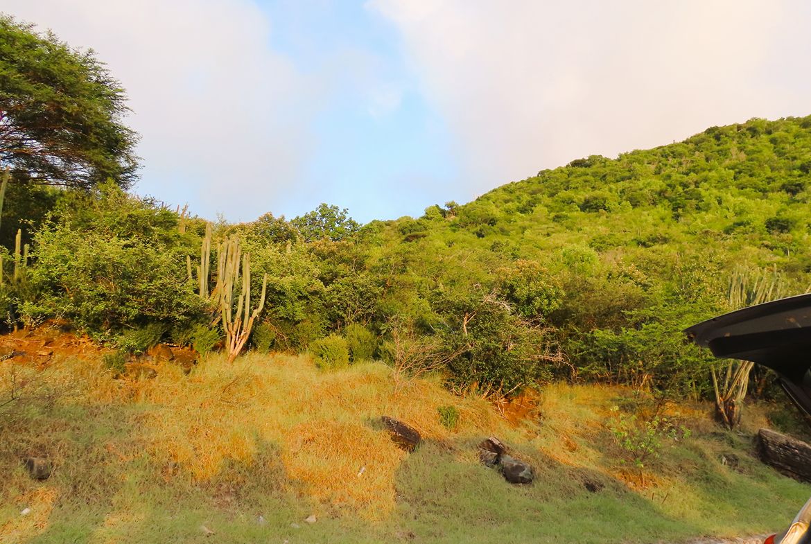 Sunset View Development Opportunity in Guana Bay